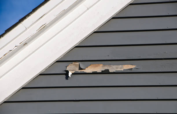 Best Fascia and Soffit Installation  in Wood River, IL